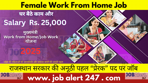 Female Work From Home Jobs 2025 Rajasthan jobalert247